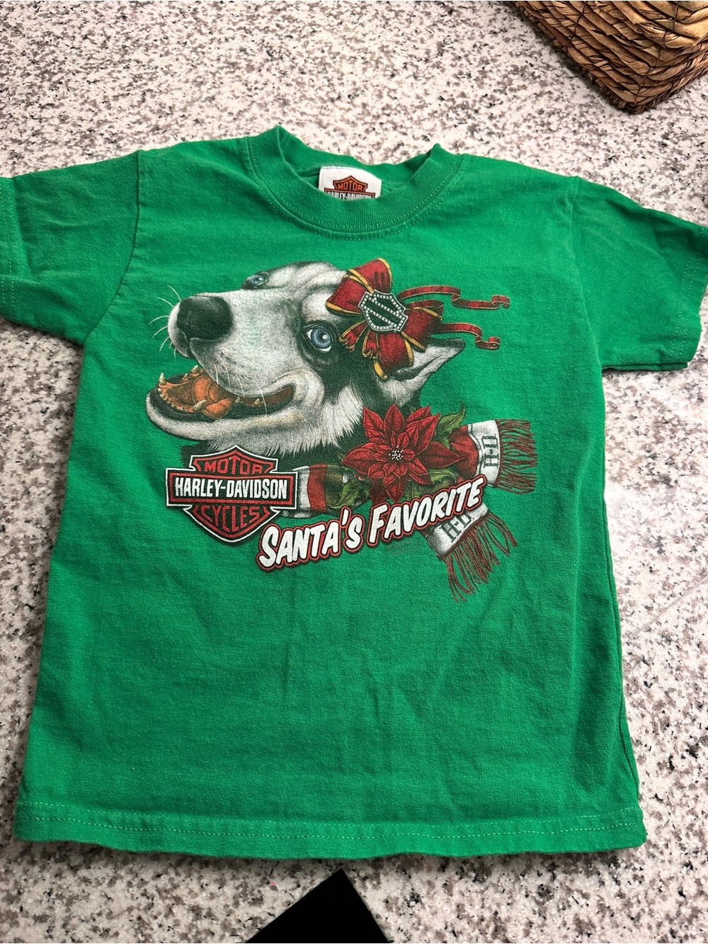 Harley Davidson Green Kids' Short Sleeve Tee with Festive Dog Graphic